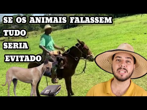 The Caboclo lost his wallet full of Contos de Réis and the Dog tried to warn him