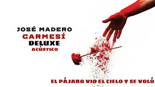 José Madero - El Pájaro Vio El Cielo Y Se Voló (Acústico)