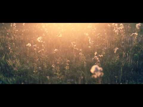 Halvetimesk - Tütün (2015)