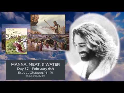 God Provides Manna, Meat, and Water - Exodus - Day 36 - February 5th - One Year Bible