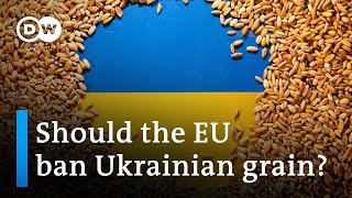 Poland, Slovakia and Hungary ban Ukrainian grain to protect own agriculture | DW News