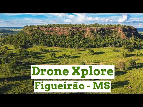 Figueirão - Mato Grosso do Sul 