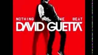 David Guetta ft Chris Brown, Lil Wayne - I Can Only Imagine