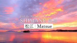 视频缩略图