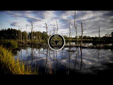 Pousada de Boiadeiro - Tião Carreiro e Pardinho - Modão - (Download)