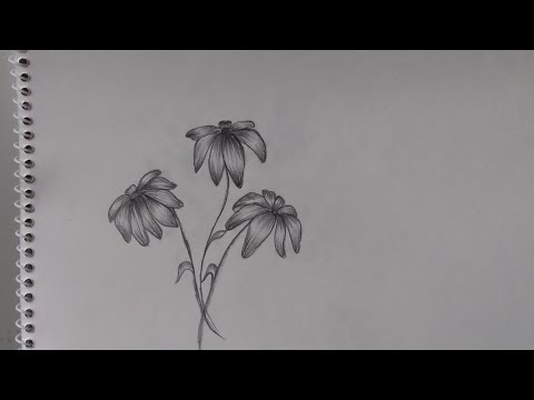 how to sketch flowers @ArtxHuriya #flower