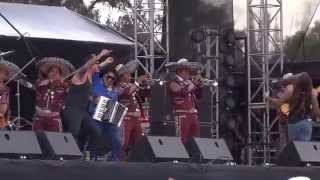 Genitallica   Borracho VL 2015