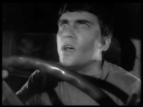 Alifib   Saro Cosentino Franco Battiato Morgan + Night Of The Living Dead George A  Romero HD Full M