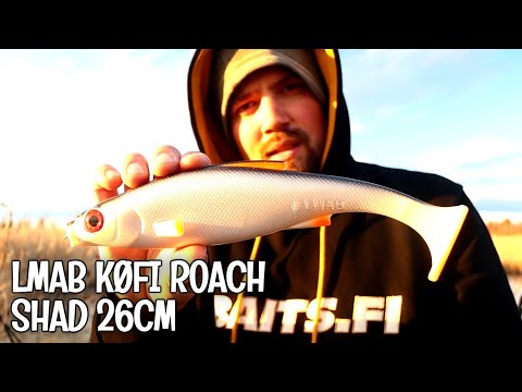 LMAB KØFI ROACH SHAD 26CM - ISO SHÄDI HAUEN UISTELUUN