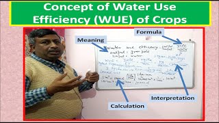 Concept of Water Use Efficiency (WUE) of Crops