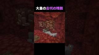 古代の残骸を一気に発見した日 #マイクラ #まいくら #minecraft