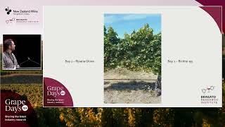 Grape Days 2024 | Water use efficiency of 11 rootstocks under deficit irrigation | Braden Crosby