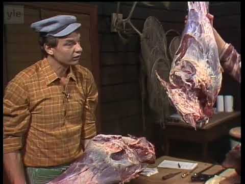 Riistakakkonen   Riippuvan ruhon kimppuun