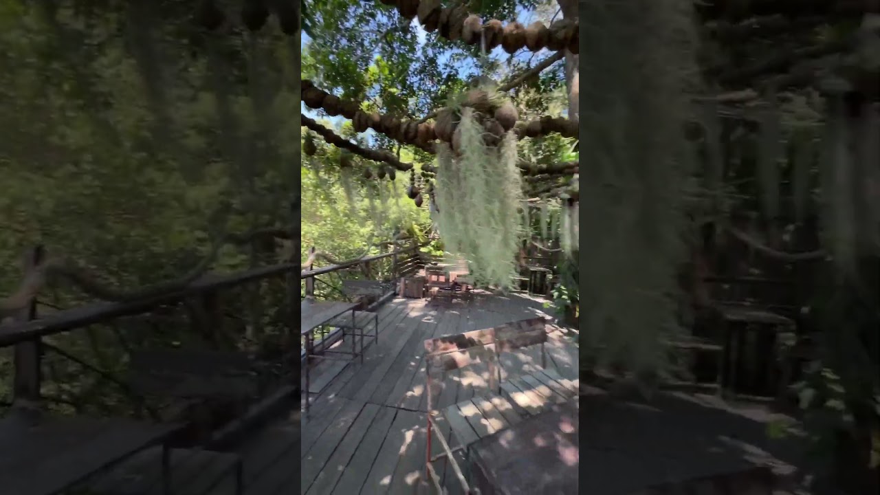 YouTube Short thumbnail