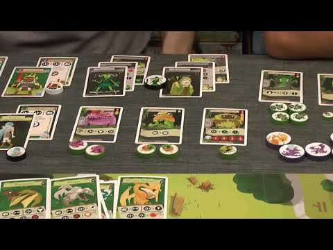 Katakomben & Kastelle bzw. Kastelle: Die Wyvern des Wywaldes (Schwerkraft Verlag)