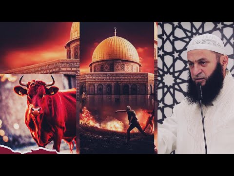 A rrezikon të shembet Xhamia e Shenjtë? - Hoxhë Sadullah Bajrami