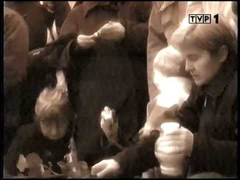 1 - Studio, Wiadomości i retransmisja Info (10-11.04.2010)