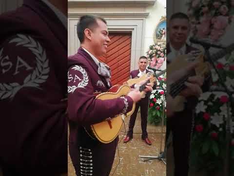 Violín Huapango video