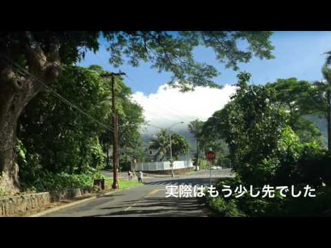 morning glass coffee
