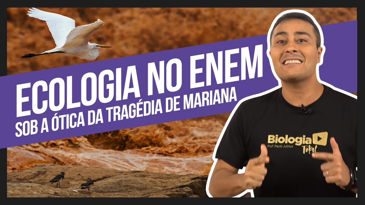Ecologia no ENEM sob a ótica da Tragédia de Mariana