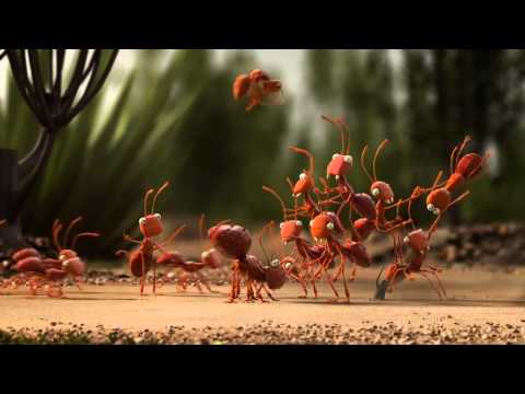 Vista previa del video