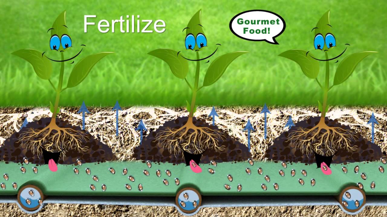 Subsurface Irrigation System which saves 70%  Water