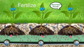 Subsurface Irrigation System which saves 70%  Water