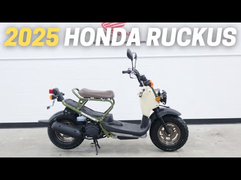 10 Dinge, die Sie vor dem Kauf des Honda Ruckus 2025 wissen müssen