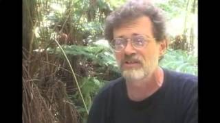 Terence Mckenna explains how 'we are moving beyond matter' in eight minutes