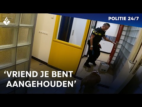 Loslopende hond gevonden | POLITIE 24/7