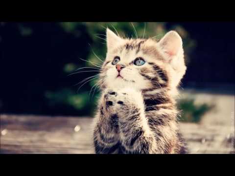 peakXperience - Nostalgia (Original Mix)