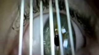 Madonna - Sanctuary (slope remix)