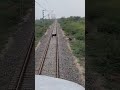 Multiple Cows Lucky Escape Cow Saved By Slowing The Train Indianrailways Indiantrains Train