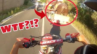 INGARELLARSI CON UN ELEFANTE + CRASH - MOTOGIRO #2
