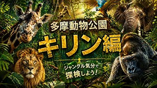 【癒し注意】キリンの優雅すぎる時間🦒✨多摩動物公園で撮影したリアルな姿！のんびりした動きにハマる人続出…！？　『ぷらぷら散歩』