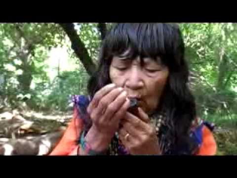 Charla sobre Ceremonias, Icaros y Ayahuasca