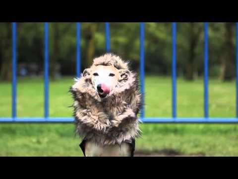 NIEUWE KNVB MASCOTTE - THE BUMPER