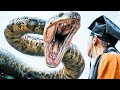 Anaconda 2024 Film Explained In Hindi Urdu Summarized हिन्दी V4 Movie Explainer
