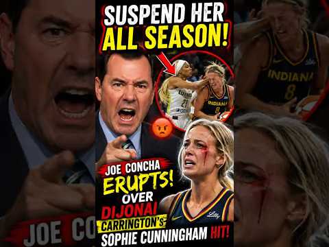 Joe Concha Wife