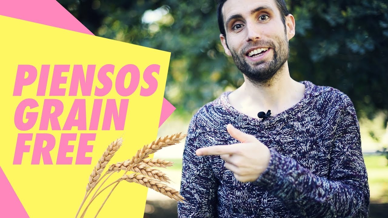 Piensos “grain free”. ¿Son más sanos para tu mascota