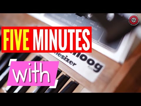 5 MINUTES WITH - Memorymoog