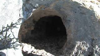 Live the Wild Life Episode 11 Wyoming Mountain Lion