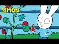 Tomato Trouble Will Simon Gaspard Find The Elf Simon Full Episodes Compilation 1hr S1