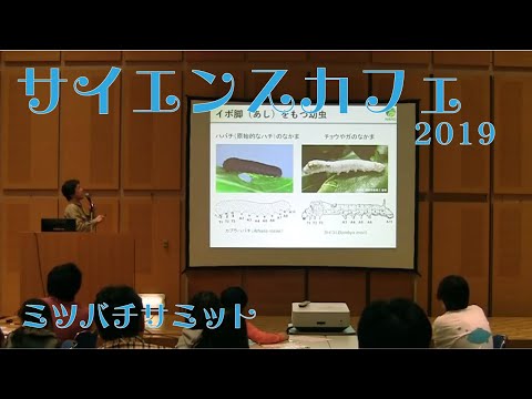 商学科 ハチの体のつくりと遺伝子の働き