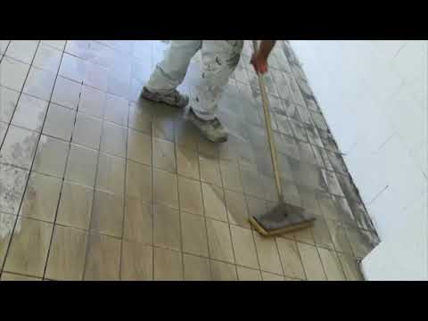 Видеообзор