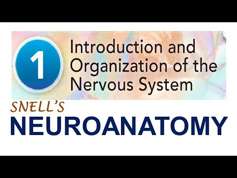 (Chp#1) Introduction & Organization of Nervous System | Snell's NeuroAnatomy | Dr Asif Lectures