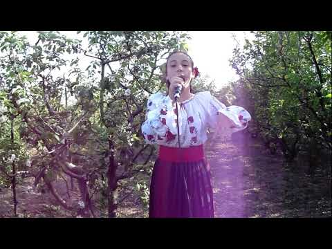Ana Maria Manea - Cine zice puiul vine