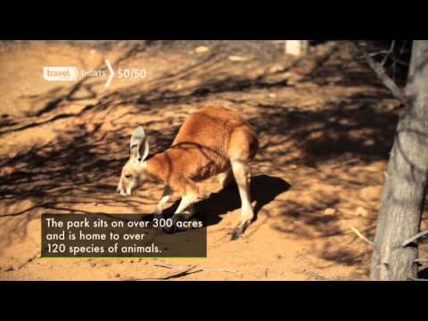 Top 5 for Australia | 50/50 | Travel Channel Asia