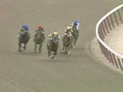 Starlight Champions - Hilda's Passion wins the Vagrancy Stakes