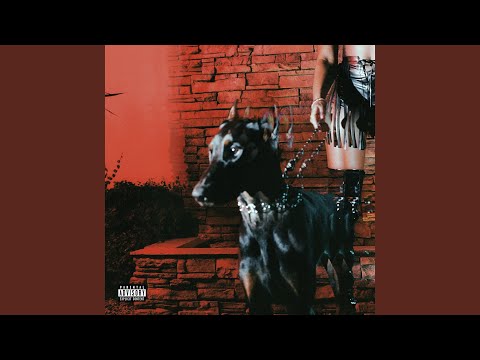 Video thumbnail for VIBES DON’T LIE